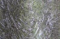 Barrapol fibreglass roof work